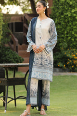 Ash Gray(Print) (unstitched)