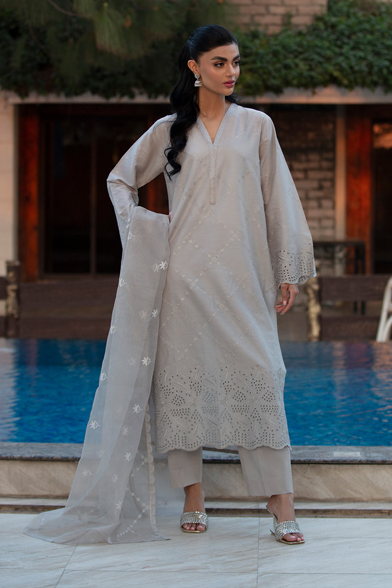 Silver moonlight net Dupatta