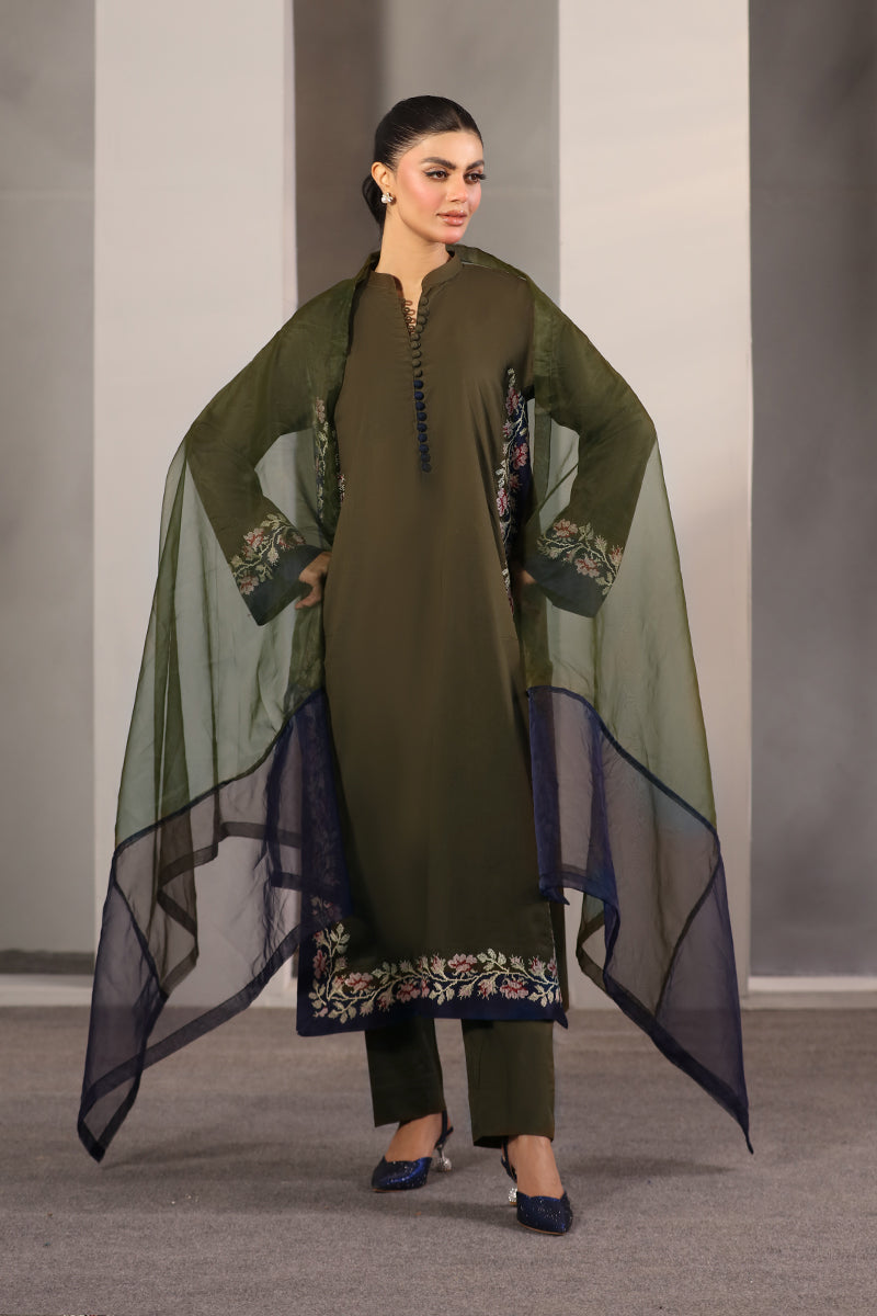 Alba organza Dupatta