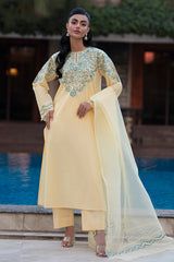 Blaze Lime organza Dupatta