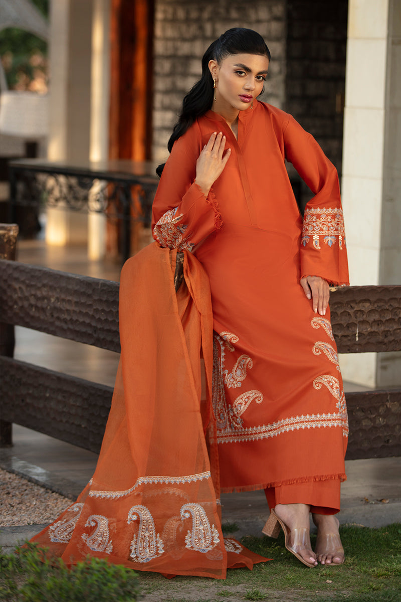 Rustic Aura Net Dupatta