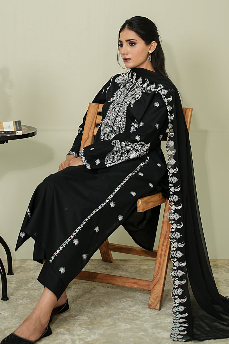 RAVEN MUSE CHIFFON DUPATTA