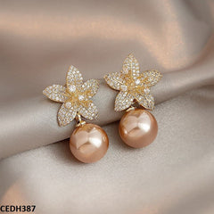 Earrings 18909